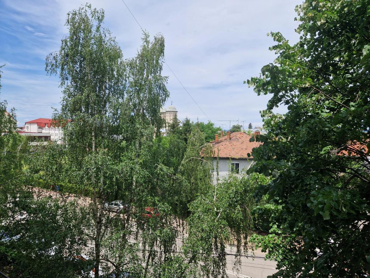 Cozy Appartment In The Center Targoviste Exterior foto